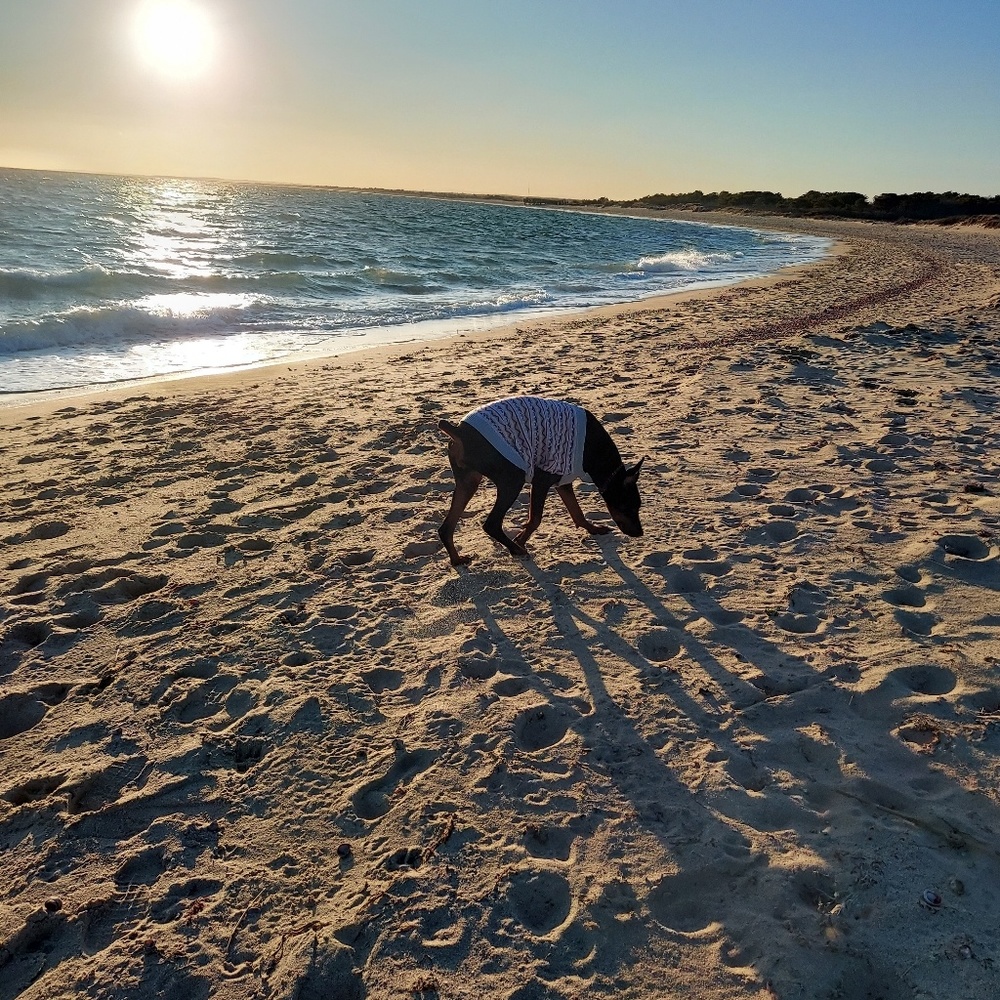 Meet your Posher, Ruthie